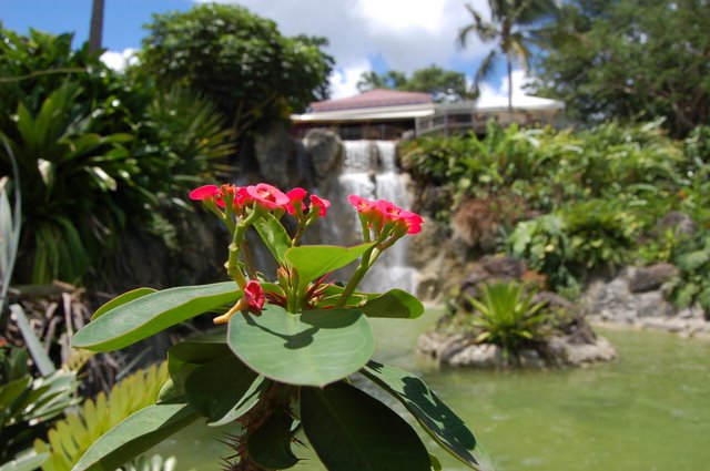 decouverte_guadeloupe decouverte_guadeloupe