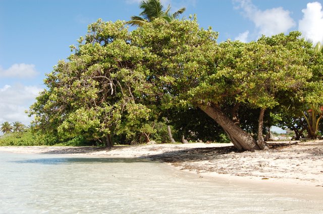 decouverte_guadeloupe_1 decouverte_guadeloupe_1