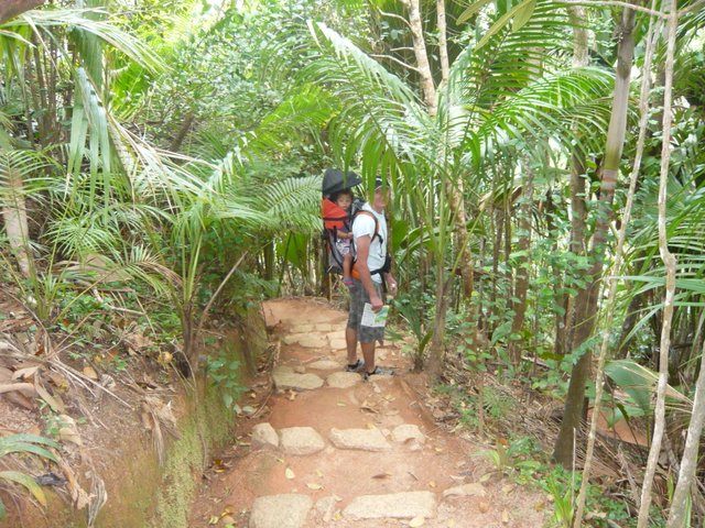 randonnee-seychelles randonnée seychelles