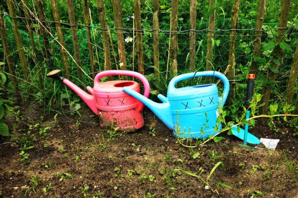 arrosage potager vacances