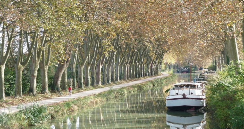 canal-du-midi-croisiere