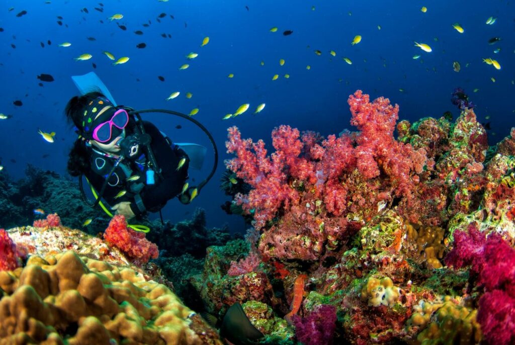 quelles iles visiter en thailande