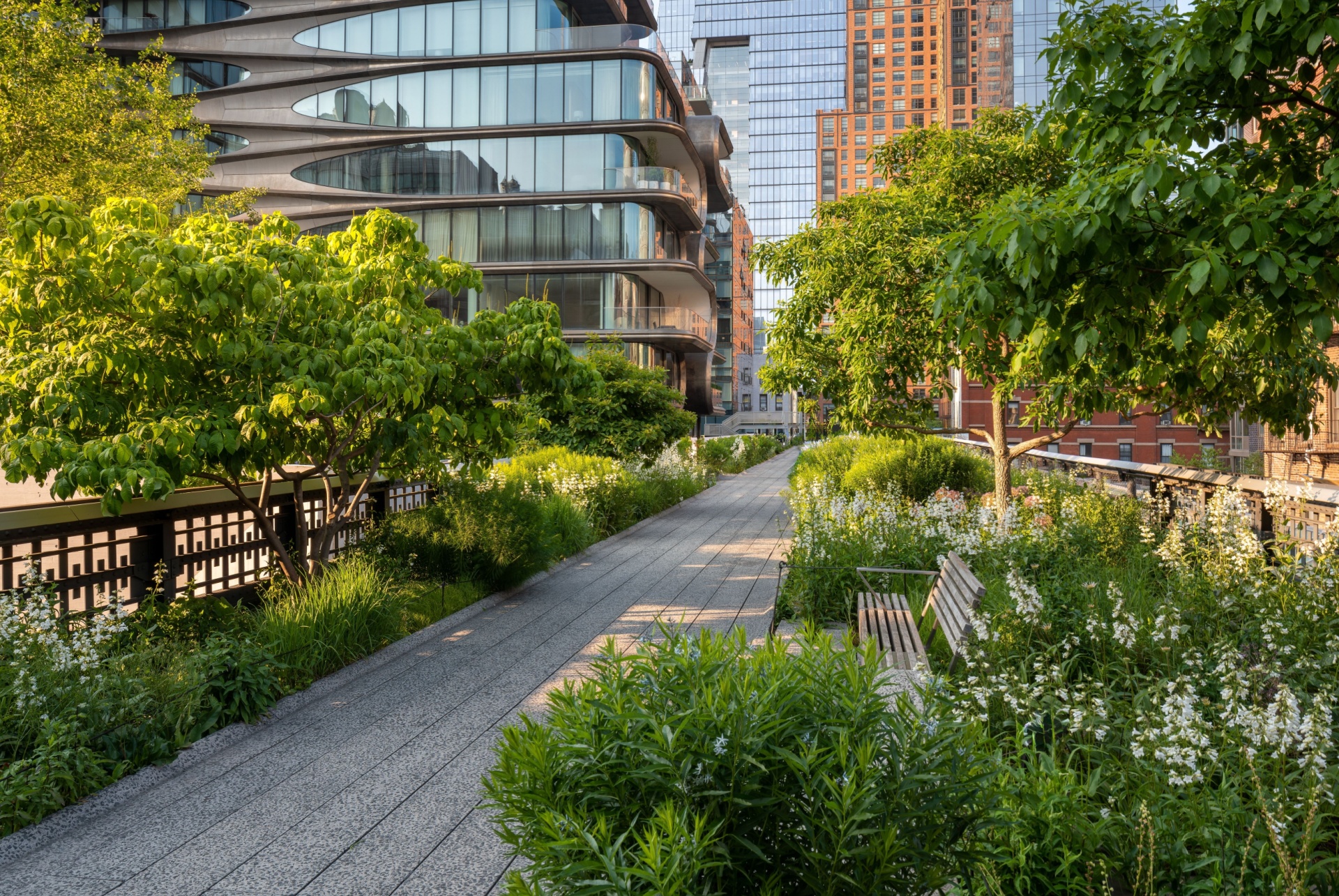 high line