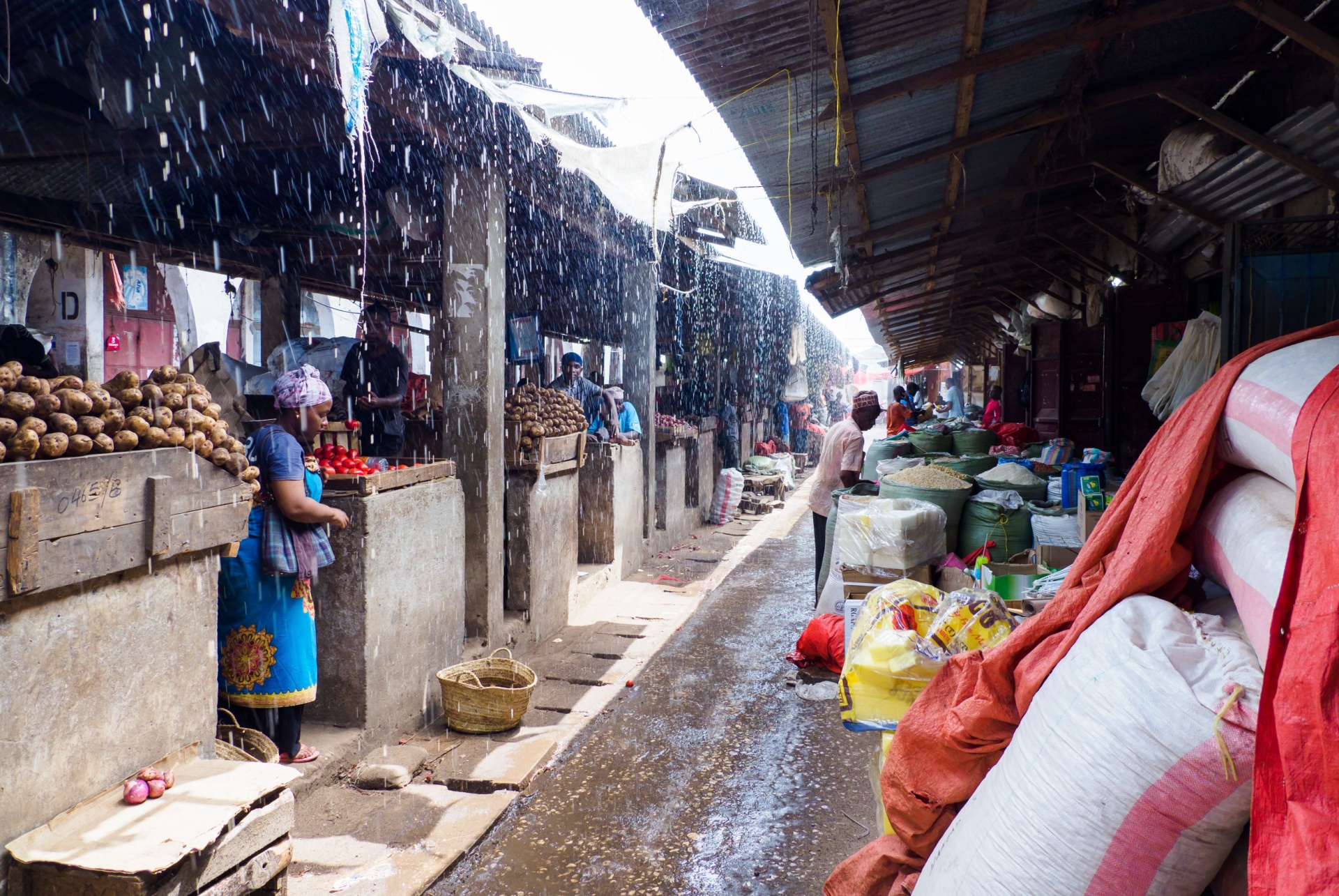 quand partir a zanzibar saison des pluies