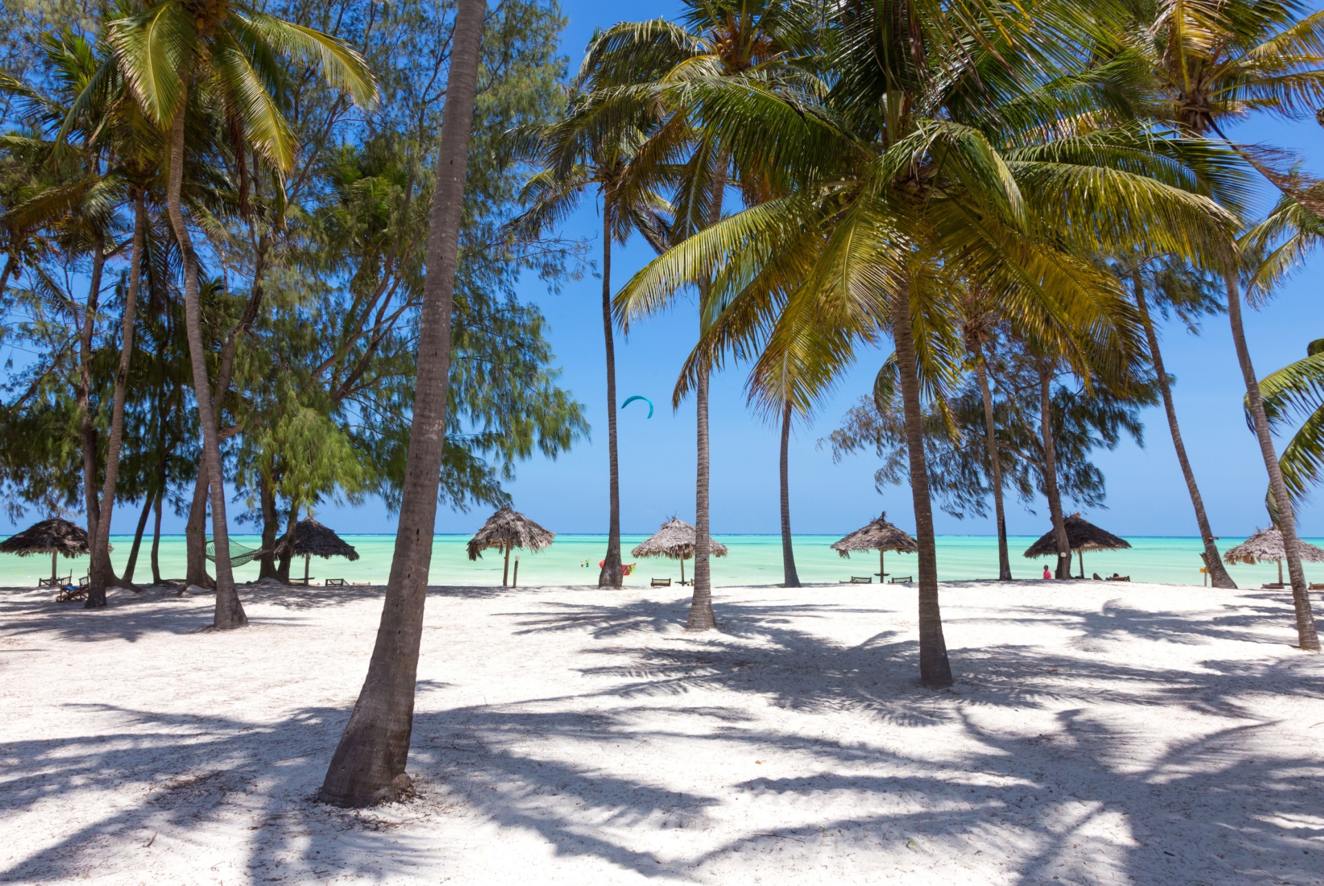 quand partir a zanzibar