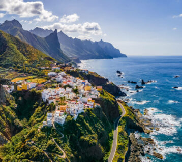 tenerife canaries